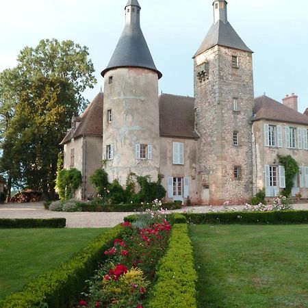 Chateau De Clusors Saint-Menoux エクステリア 写真